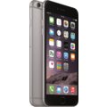Apple iPhone 6 Plus - 16GB, šedá_1155219259