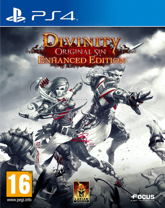 Divinity: Original Sin Enhanced Edition (PS4)_1499879024