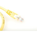 UTP kabel rovný kat.6 (PC-HUB) - 1m, žlutá_1172342511