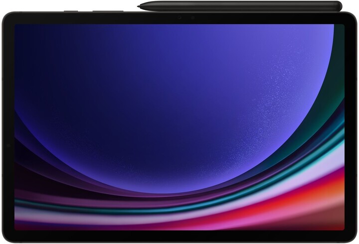 Samsung Galaxy Tab S9, 12GB/256GB, Gray_620438879
