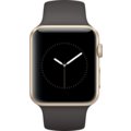Apple Watch 42mm Gold Aluminium Case with Cocoa Sport Band_1623438592