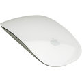 Apple Magic Mouse_1305715762