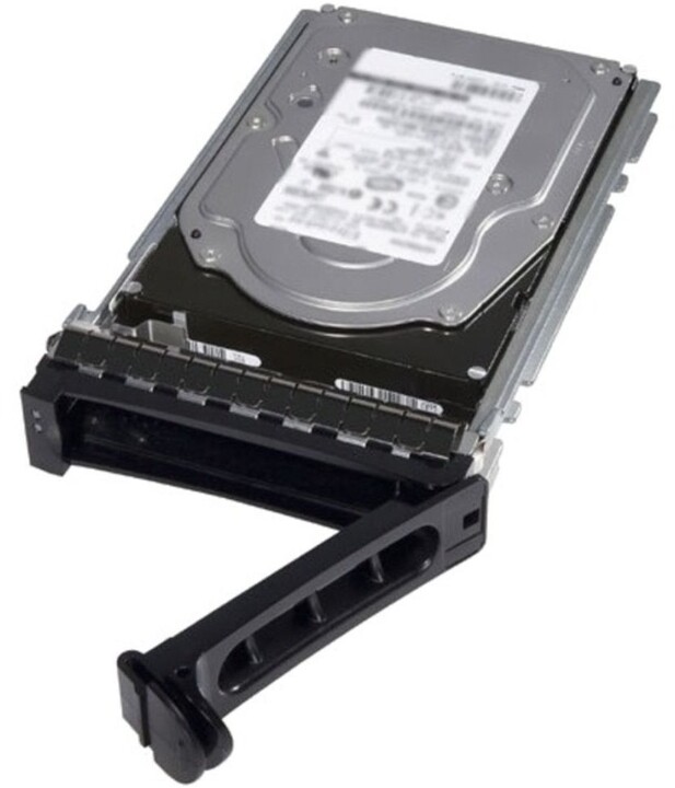 Dell server disk, 3,5&quot; - 4TB pro PE T350/T550/R350/R450/R550/R650/R650XS/R750/R750(XS)_1568197667