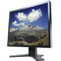 EIZO FlexScan S1933H-BK - LED monitor 19&quot;_973044853