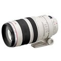 Canon EF 100-400mm f/4.5-5.6 L IS USM_816360459