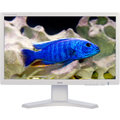 iiyama ProLite B2776HDS-W1 - LED monitor 27&quot;_615882759