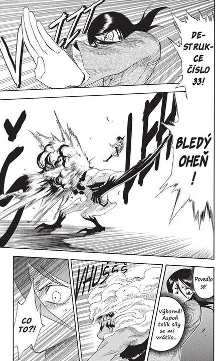 Komiks Bleach - Goodbye Parakeet, Goodnite My Sista, 2.díl, manga_762825162
