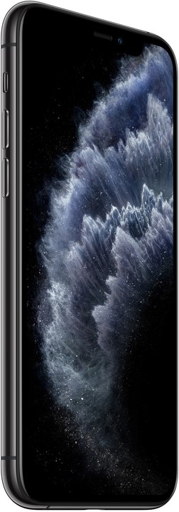 Repasovaný iPhone 11 Pro, 256GB, Space Gray (by Renewd)_2033181753