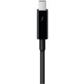 Apple Thunderbolt, 2 m, černá_1031228624