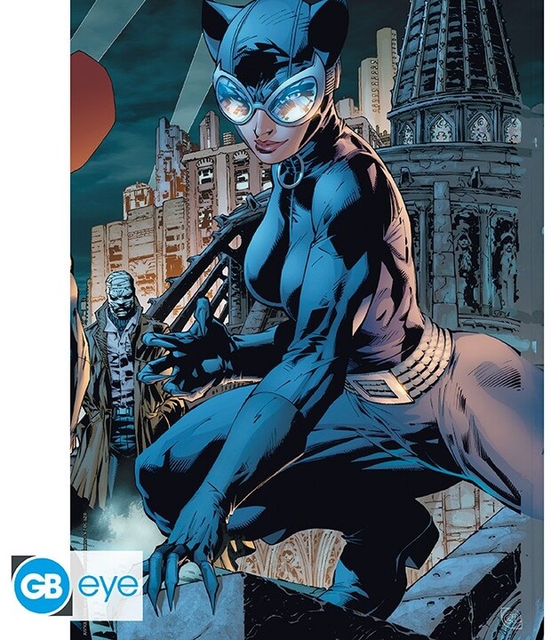 Plakát DC Comics - Justice League, sada 9 ks (21x29,7)_571229996