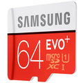 Samsung Micro SDXC EVO+ 64GB UHS-I_1485451420
