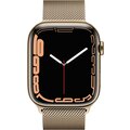 Apple Watch Series 7 Cellular, 45mm, Gold, Stainless Steel, Milanese Loop_795744265