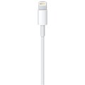 Lightning to USB Cable, 2m_1605584411