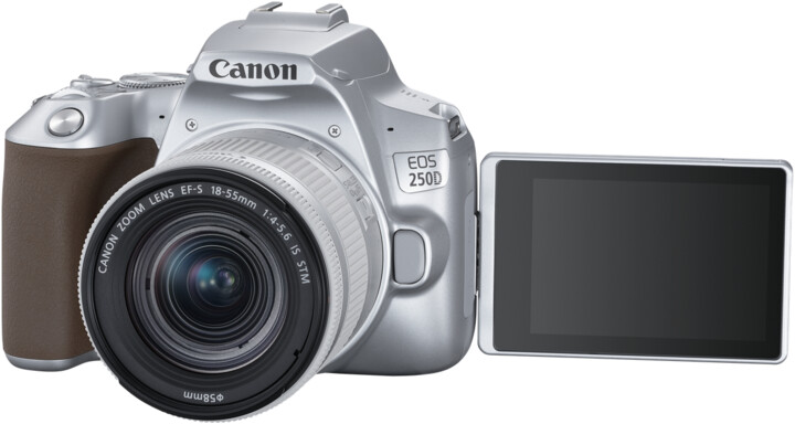 Canon EOS 250D + 18-55mm IS STM, stříbrná_1001498558