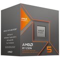 AMD Ryzen 5 8600G_255535102