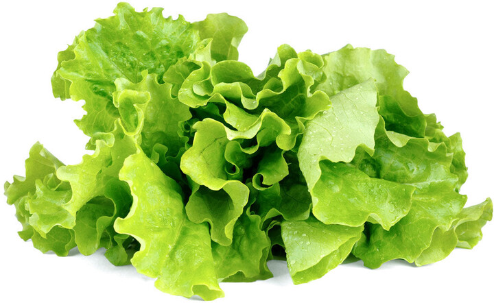 Click and Grow zelený salát, kapsle se semínky a substrátem 3ks_265915488