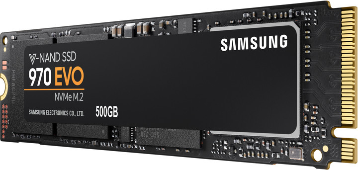 Samsung SSD 970 EVO, M.2 - 500GB_1341939232