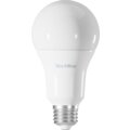 TechToy Smart Bulb RGB 11W E27_1724969878