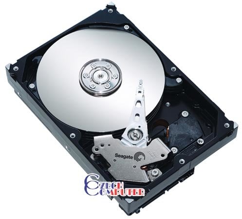 Seagate Barracuda ES ST3250620NS - 250GB SATA II_501702454