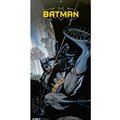 Kalendář 2023 DC Comics - Batman, nástěnný_138128978