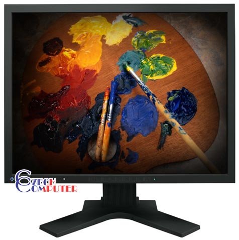 EIZO FlexScan S2100-K černý - LCD monitor 21&quot;_1229878459