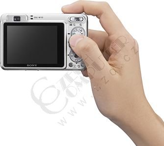 Sony Cyber-Shot DSC-W110S stříbrný_847773371