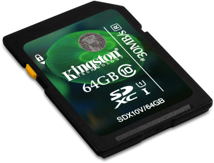 Kingston SDXC 64GB UHS-I_1632715970