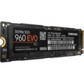 Samsung SSD 960 EVO (M.2) - 500GB_968852278