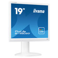 iiyama ProLite B1980SD-W1 - LED monitor 19&quot;_1538473328