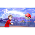 Pokémon Shield + Expansion pass (SWITCH)_1385420463