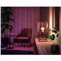 Philips Hue White and Color Ambiance 6.5W 800lm E27 4ks_2017347353