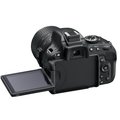 Nikon D5100 + 18-105 VR AF-S DX_1666163780