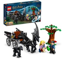 LEGO® Harry Potter™ 76400 Bradavice: Kočár a testrálové Kup Stavebnici LEGO® a zapoj se do soutěže LEGO MASTERS o hodnotné ceny