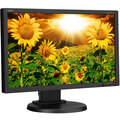 NEC MultiSync E201W, černá - LED monitor 20"