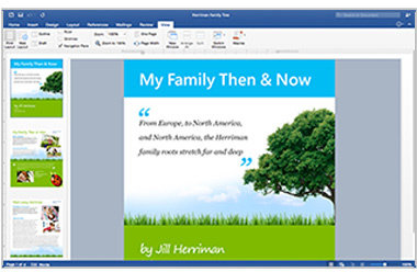Microsoft Office Mac 2016 pro domácnosti a podnikatele - elektronicky_1413457710