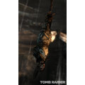 Tomb Raider (Xbox 360)_1333123529