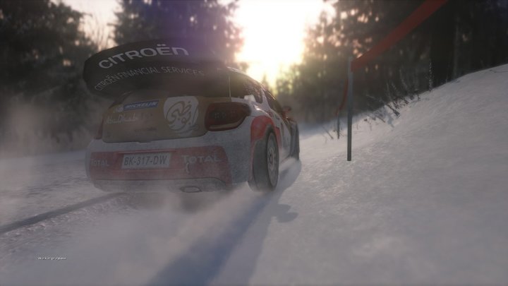 Sébastien Loeb Rally Evo (PC)_859394054