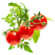 Mini rajčata