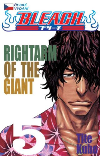 Komiks Bleach - Rightarm of the giant, 5.díl, manga_1468697113