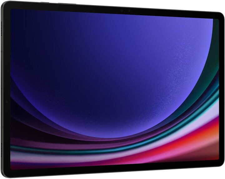 Samsung Galaxy Tab S9 Ultra, 12GB/512GB, Gray_1709848013