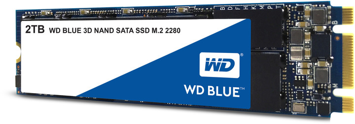WD Blue 3D NAND, M.2 - 2TB_662994037