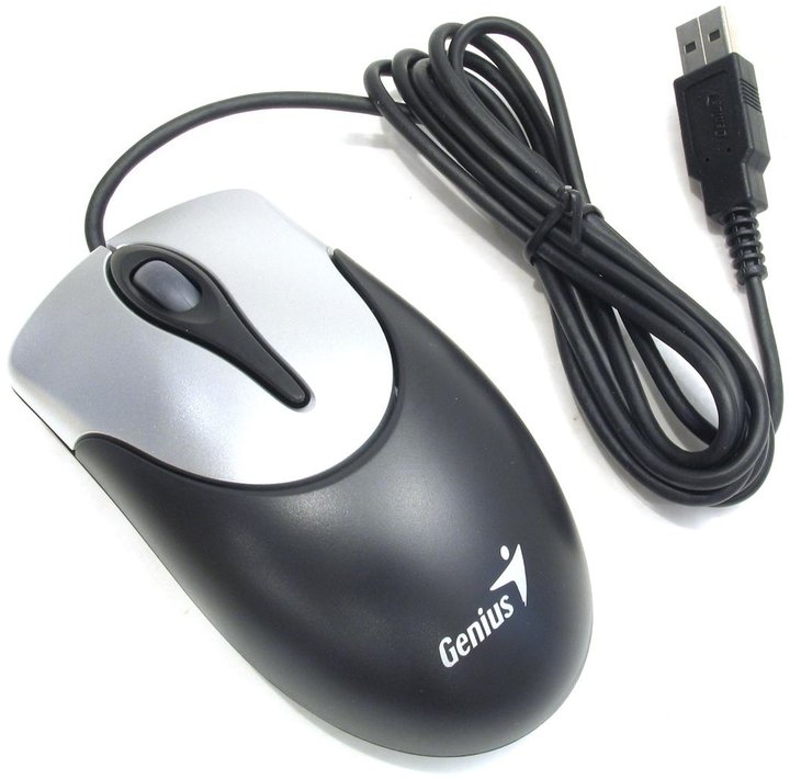 Genius NetScroll 100, USB, stříbrná/černá_143192672