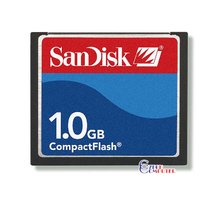 SanDisk CompactFlash 1GB_312118237