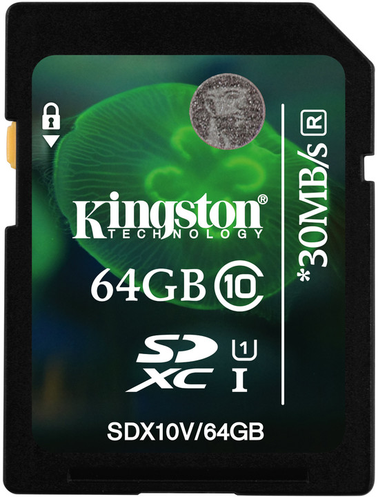 Kingston SDXC 64GB UHS-I_1819634095