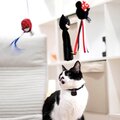 Hračka Cerdá Spiderman, pro kočky_1635241583