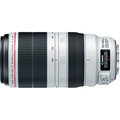 Canon EF 100-400mm f/4.5-5.6 L IS II USM_439513810