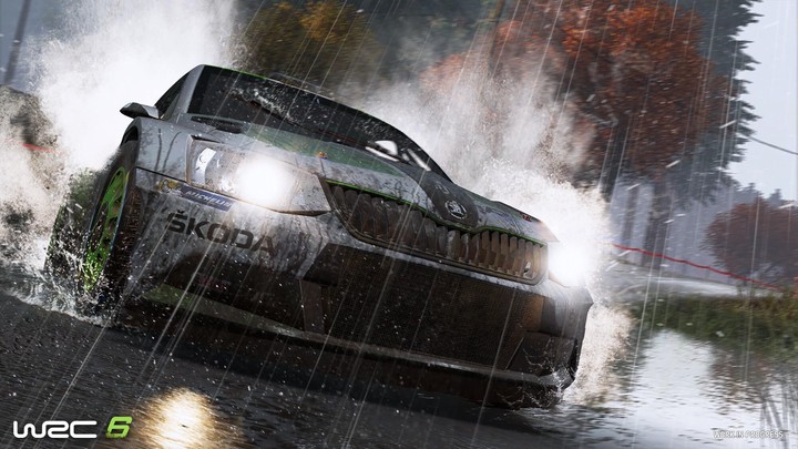 WRC 6 (PC)_1672454405