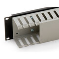Triton vyvazovací panel RAB-VP-X04-A1, 19&quot;, 2U, s plastovým kabelovodem_2002126760