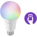 TechToy Smart Bulb RGB 11W E27_36383807