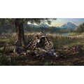 Chystá se filmová adaptace Days Gone